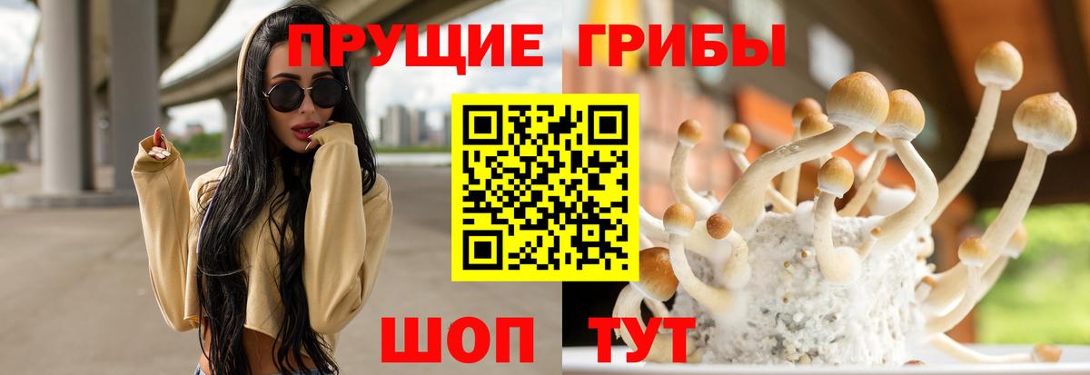 Псилоцибиновые грибы Magic Shrooms Гуково